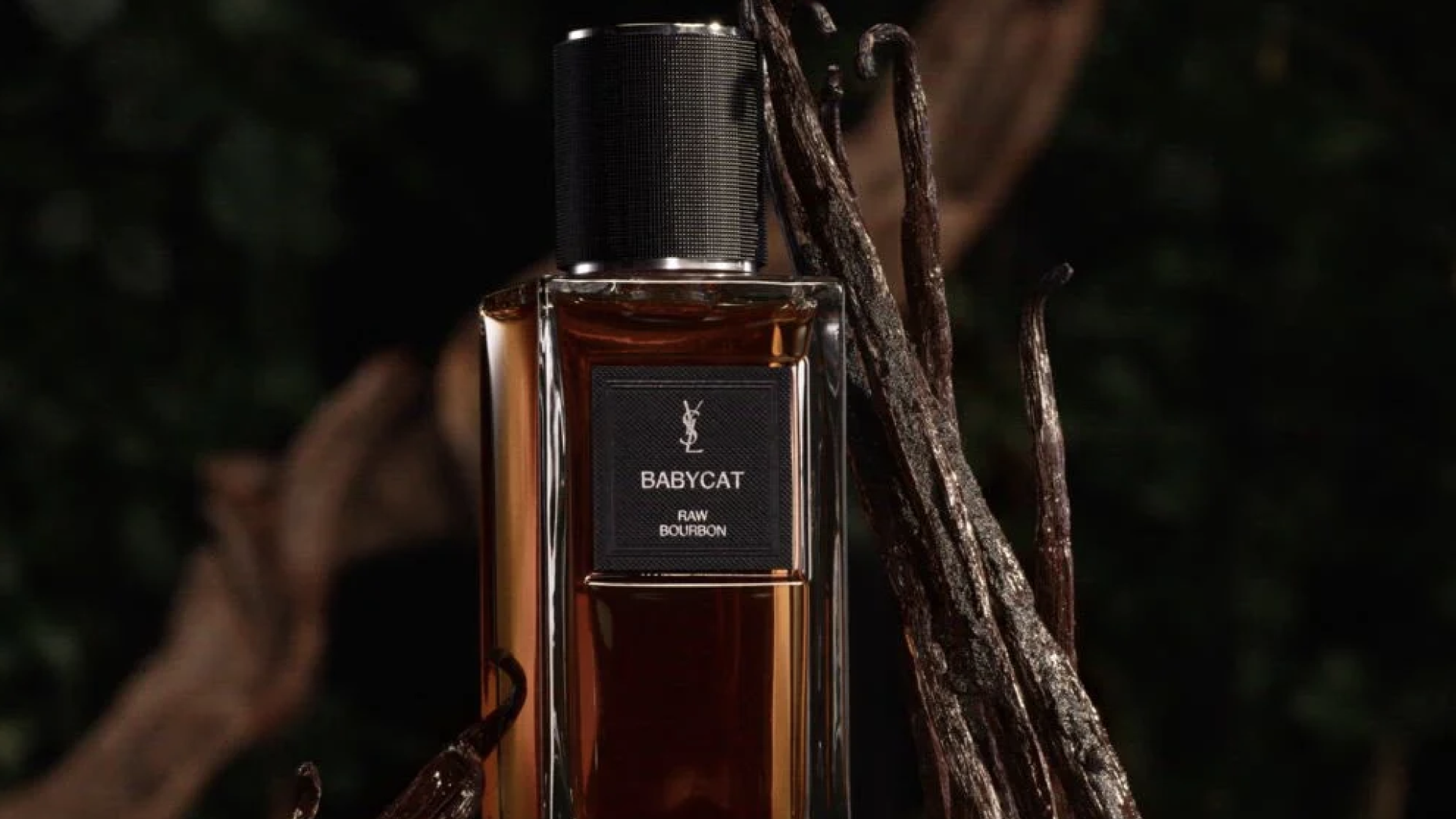 ESScent Of The Week: The YSL Babycat Hype Is Real (And Here's Why)